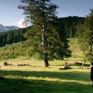 În drum spre culme / Creasta Oslei, Oslea, Muntii Valcan, Gorj, Hunedoara