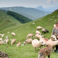 Mioare / Creasta Oslei, Oslea, Muntii Valcan, Gorj, Hunedoara