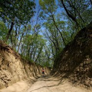 Drumuri prin pădure, adevărate tuneluri_Muntii Macin 1 Mai 2011 Culmea Pricopanului_Cozluk_Fundu_Plopilor
