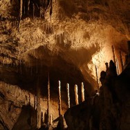 Pestera Ursilor judetul Bihor
