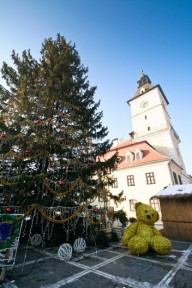 Bradul de Craciun - Brasov, Oras de poveste