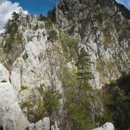 Loc de belvedere --- Cheile Tasnei-Valea Cernei, Muntii Mehedinti