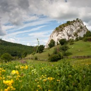 Pietrele Ampoitei - Muntii Trascau